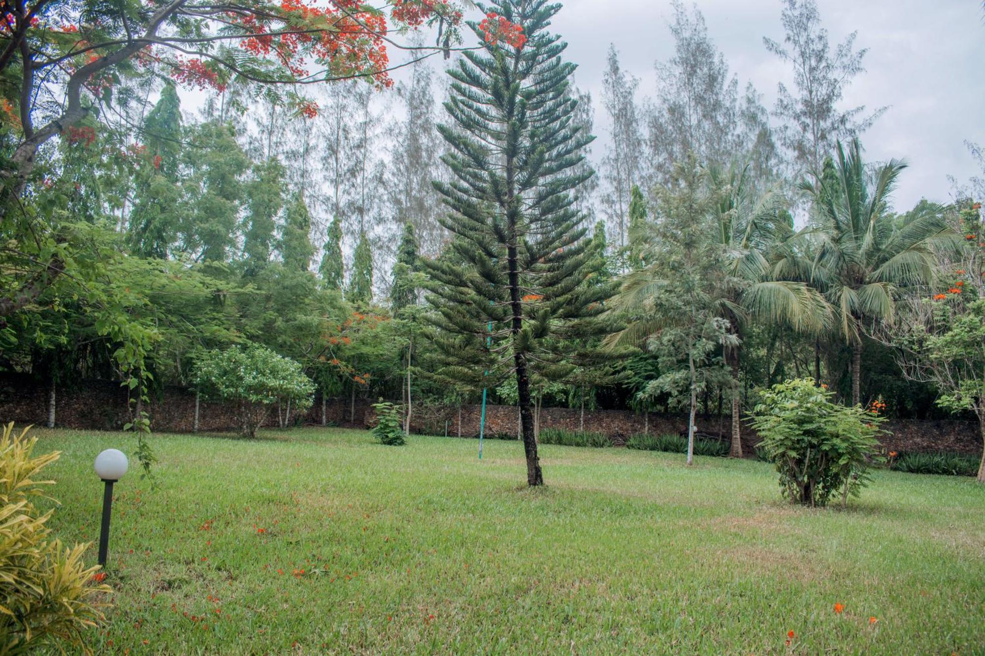 Kijani Cottages In Diani Diani Beach Esterno foto